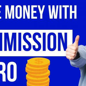 How Much Does Commission Hero 2 Cost 2022